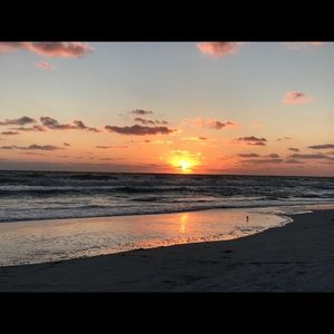 Meet your Posher, Ella